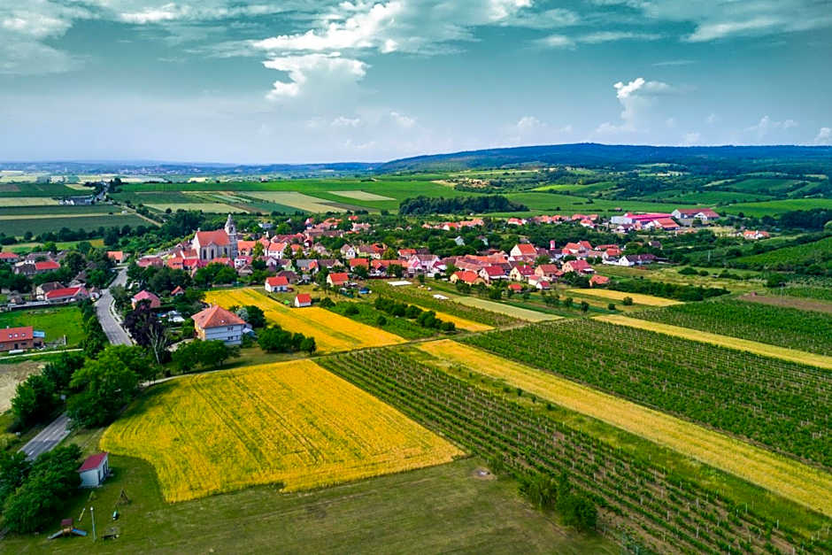 Hotel Vinice Hnanice