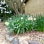 Buffalo Motel and Country Retreat