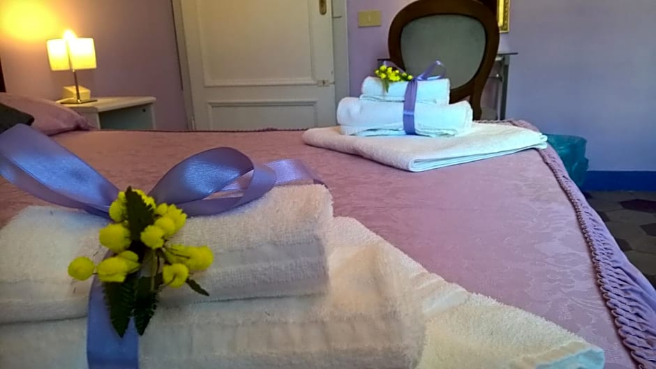 B&B La Mimosa