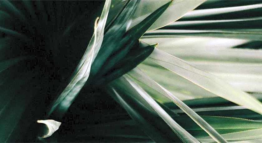 Ritsurin Boutique Hotel