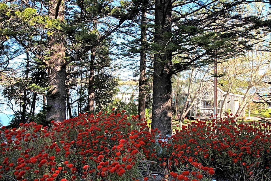 Boathouse - Birks River Retreat