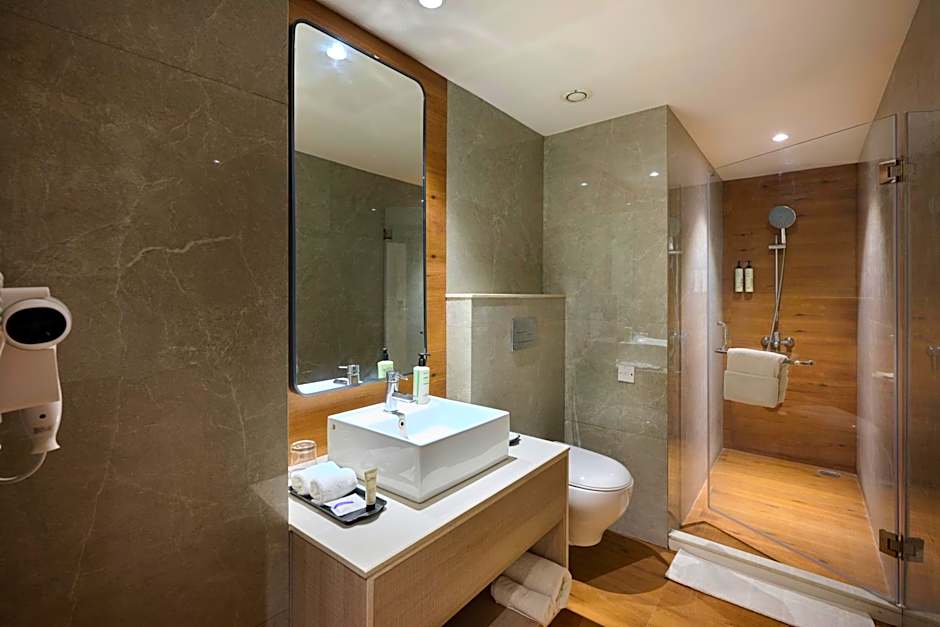 Delite Sarovar Portico Faridabad