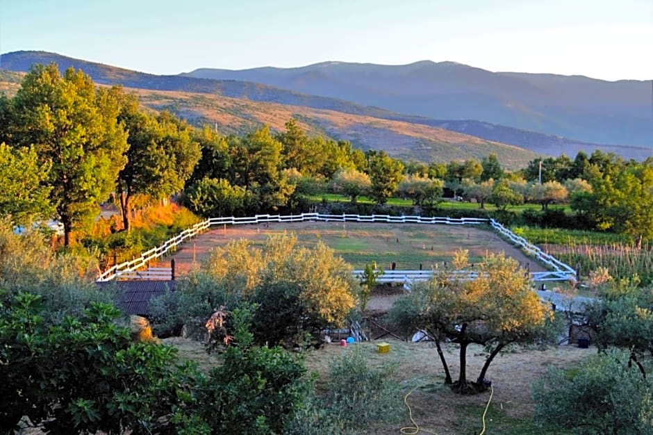 Fattoria La Tana della Volpe