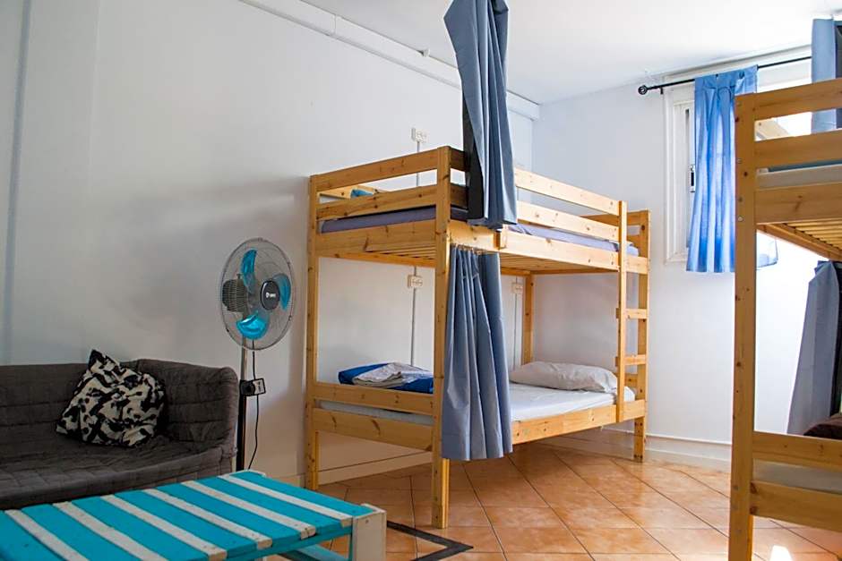 Aloe Vera Shared House