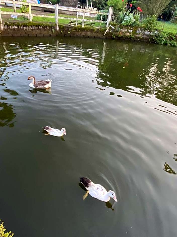 Pousada Ecológica Cavalo de Pedra
