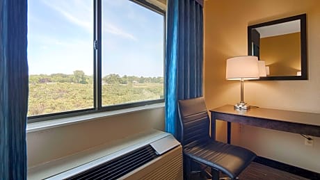 Suite-1 King Bed - Non-Smoking, River View, Whirlpool, Microwave And Refrigerator, High Speed Internet Access, Full Breakfast