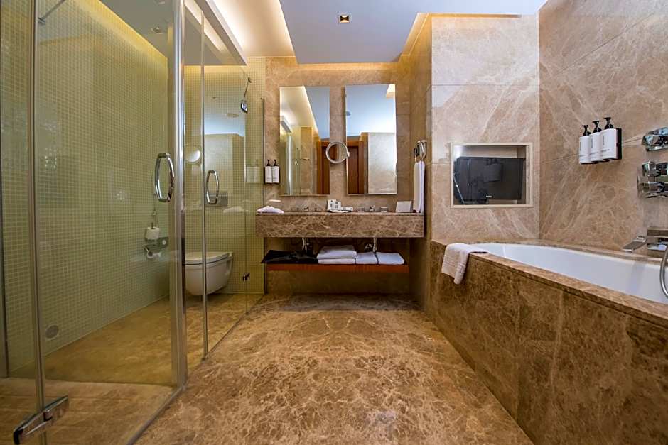 Crowne Plaza Kayseri By IHG