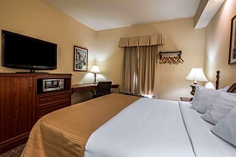 1 King Bed, Nonsmoking, Accessible
