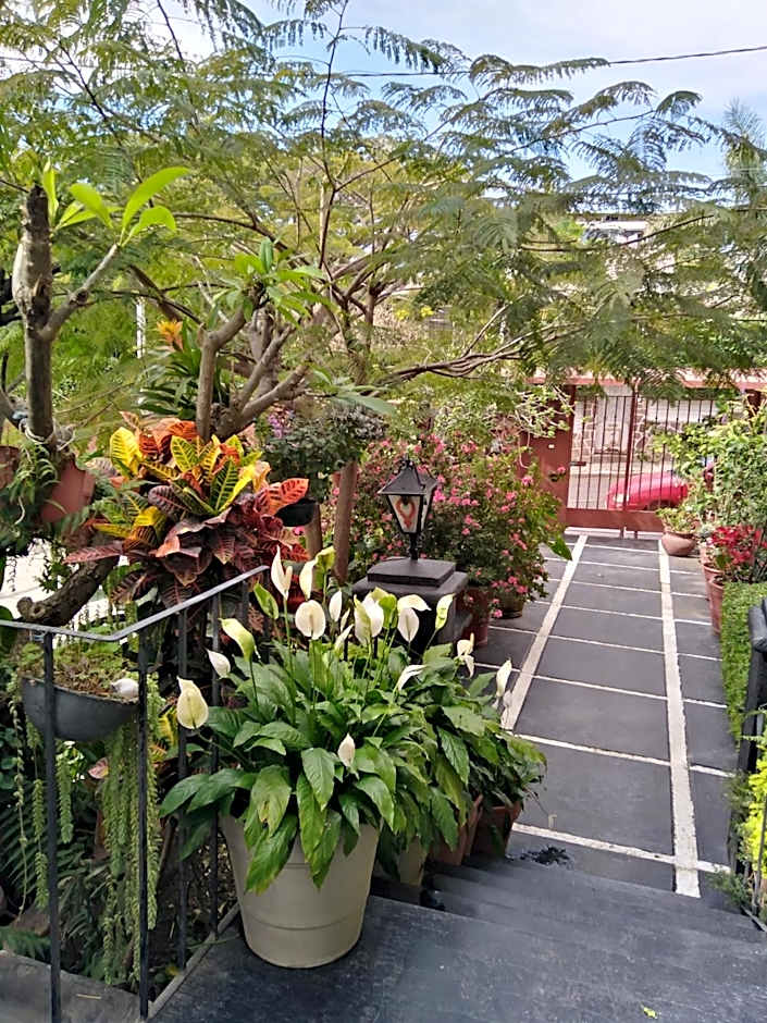 Gal - Habitaciones Confortables