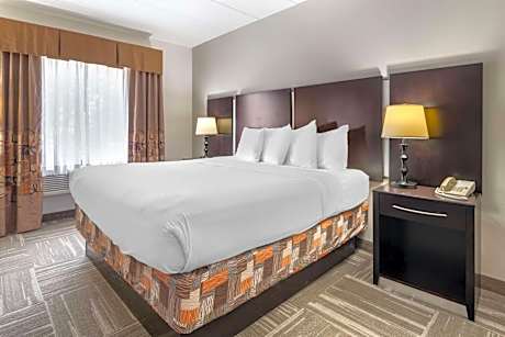 One-Bedroom King Suite with Sofa Bed - Non-Smoking