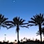 Moody Gardens Hotel Spa And Convention Center