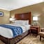 Comfort Inn Sunnyvale - Silicon Valley