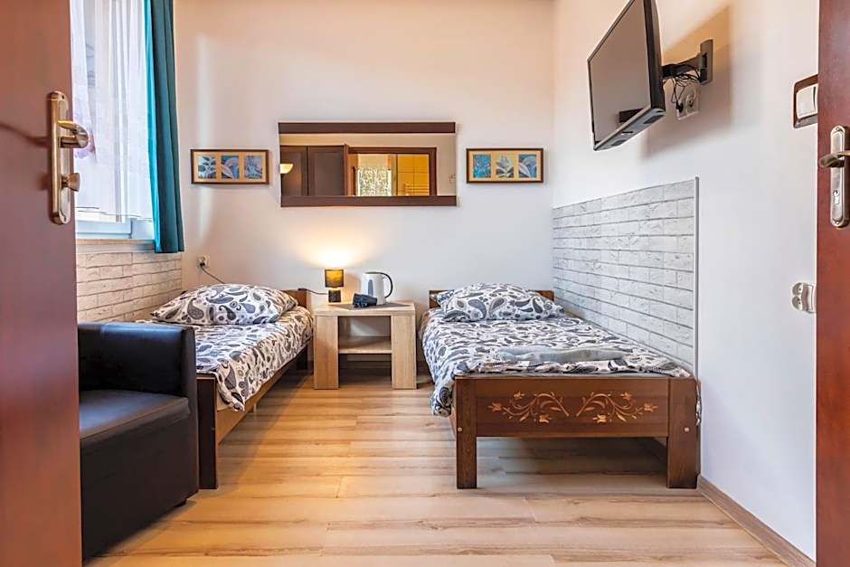 Brzoza w centrum Zakopanego