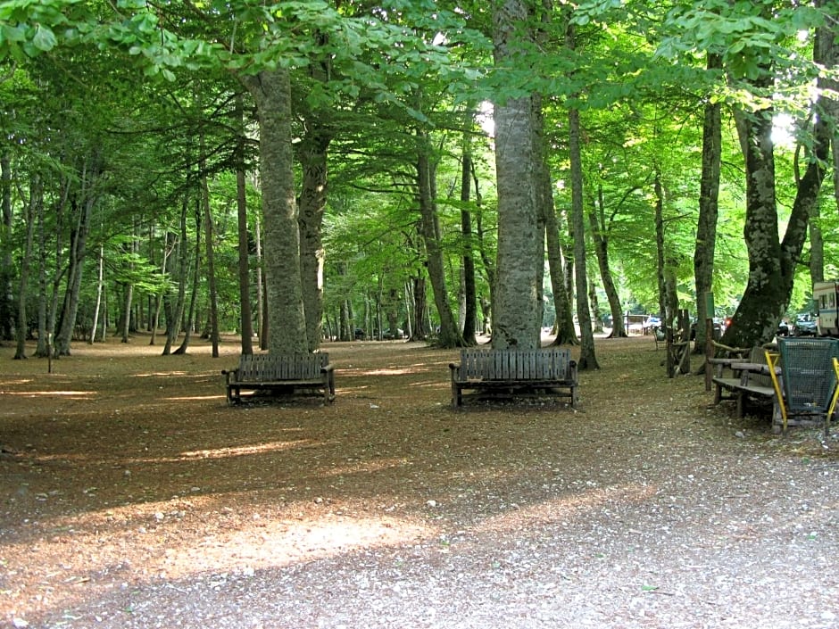B&B Una Rotonda sul mare