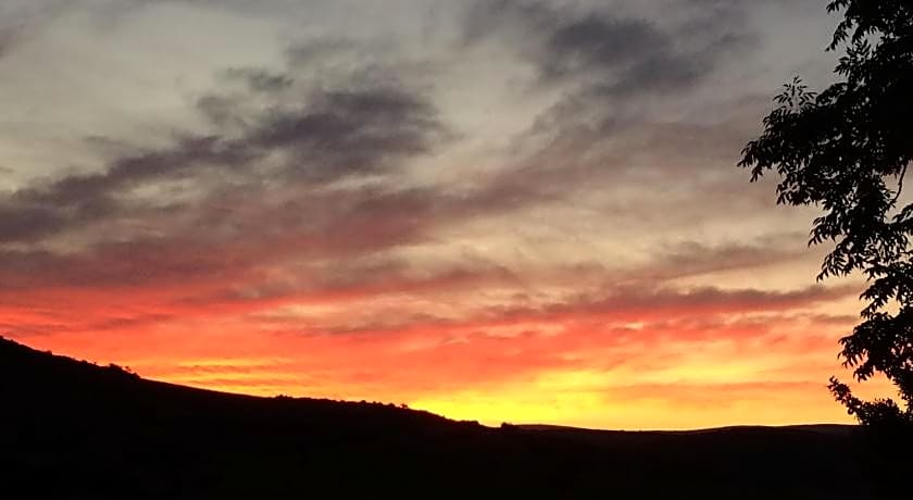 Kromrivier Farm Stays & B&B Near Addo Elephant Park