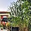 'Schlabecks - Fränkischer Hof' - - - Garni-Hotel-Pegnitz