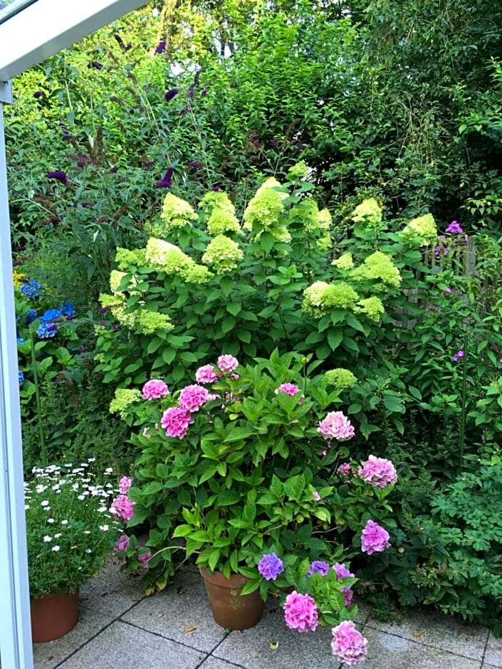 Bed & Breakfast Bigalke