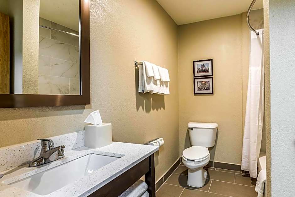 Comfort Inn Detroit Downtown