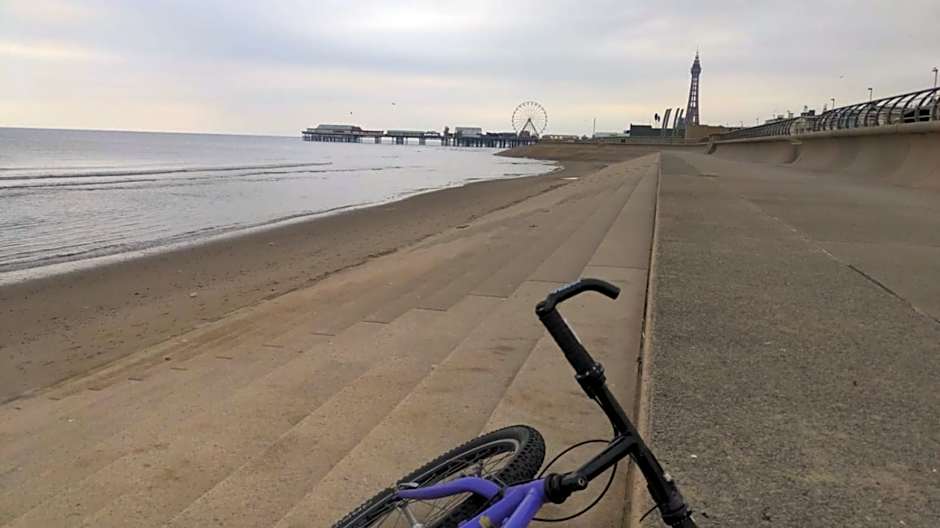 The Winter Garden Suites