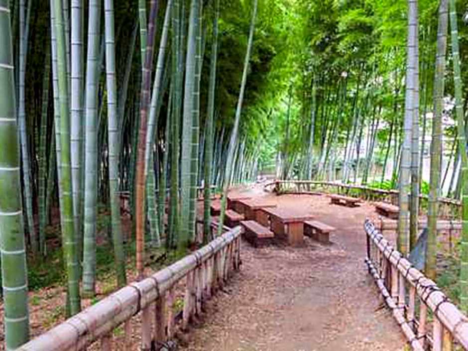 Toyoko Inn Tokyo Seibu Ikebukuro-sen Higashi-kurume-eki Nishi-guchi