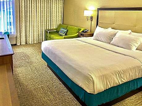 1 King Bed Suite Nonsmoking
