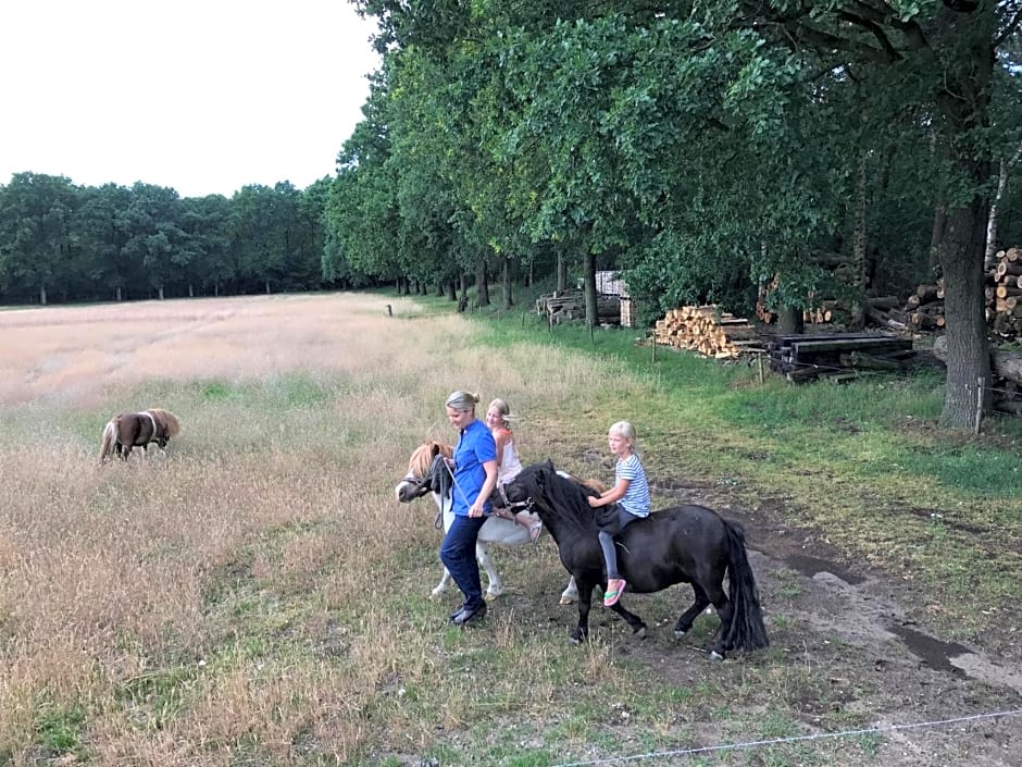 Bed & Breakfast de Zandhoef