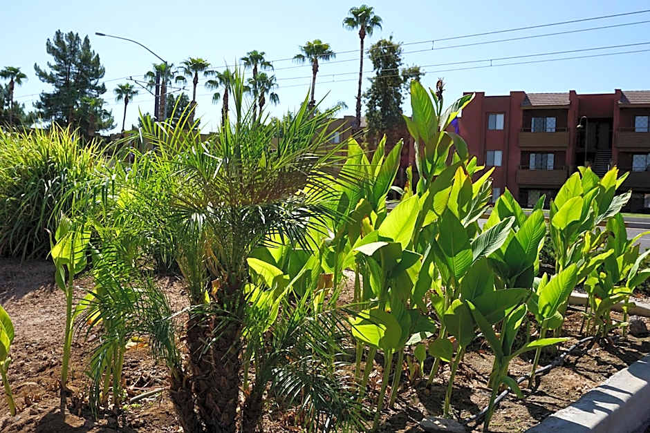 Mesa Oasis Inn & Motel