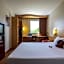 Ibis Plzen
