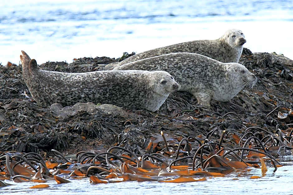 The Isles of Glencoe Hotel
