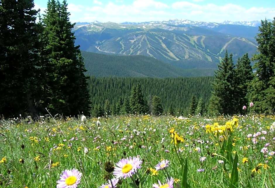 Holiday Inn Express & Suites Fraser By IHG