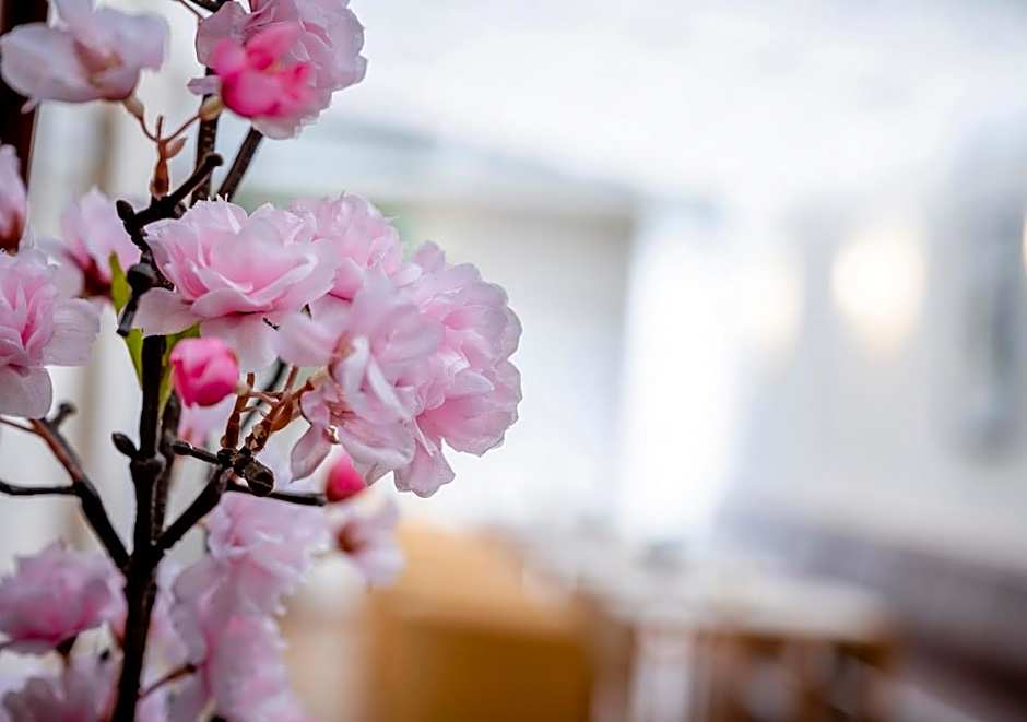 Boutique Hotel Hauser