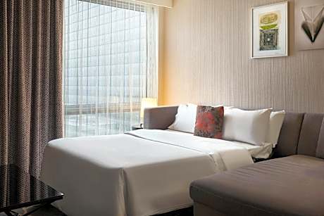 Larger Suite, 1 King, Sofa bed, City view