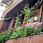 GardenRoom bnb Yumyum