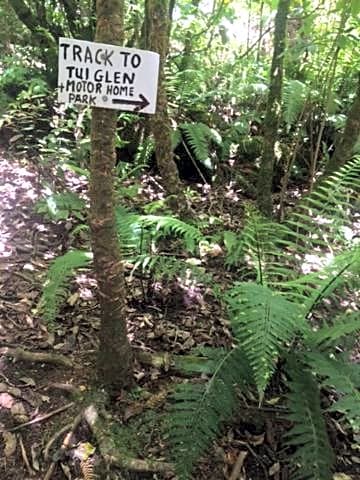 Tui Glen