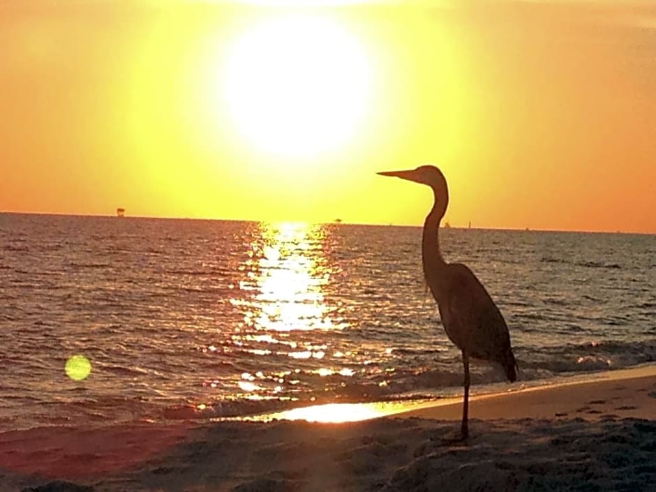 Gulf Shores Plantation