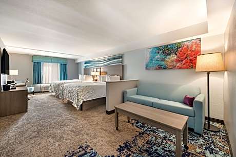 1 Bedroom Suite