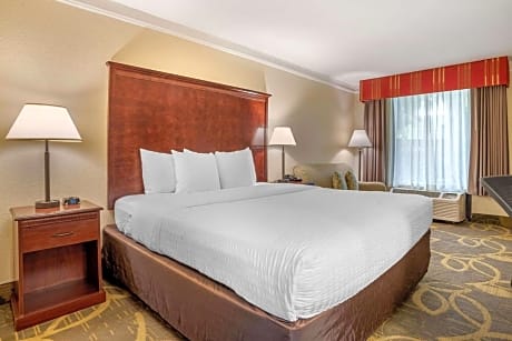 King Room - Non-Smoking
