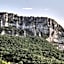 La Cour du Marronnier