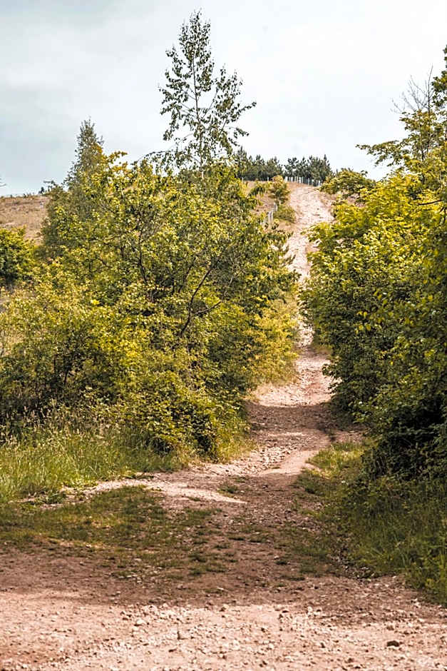 Mont-des-Pins