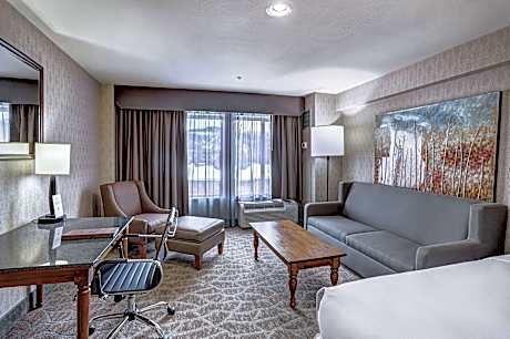 1 King Bed 1 Bedroom Suite