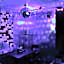 Show Hotel