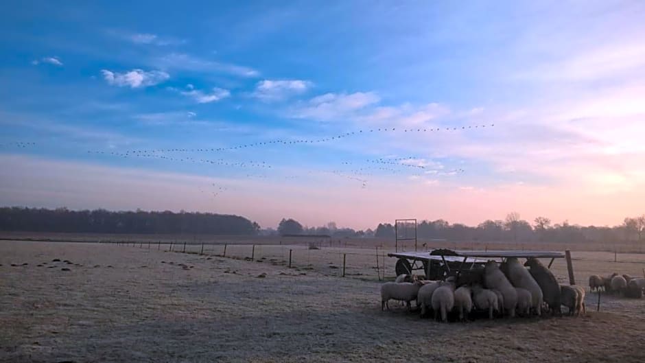 Boerderijkamer Zwanebloem