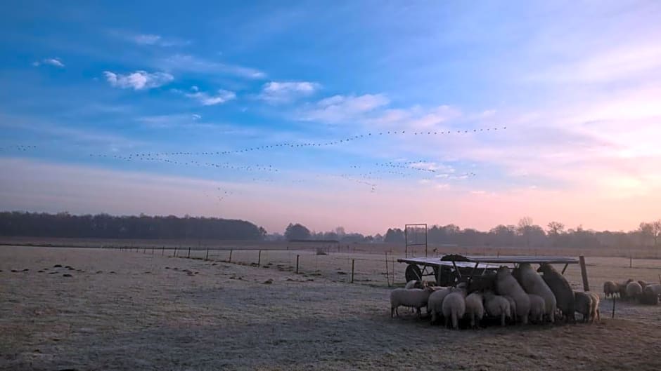 boerderijkamer Zwanebloem