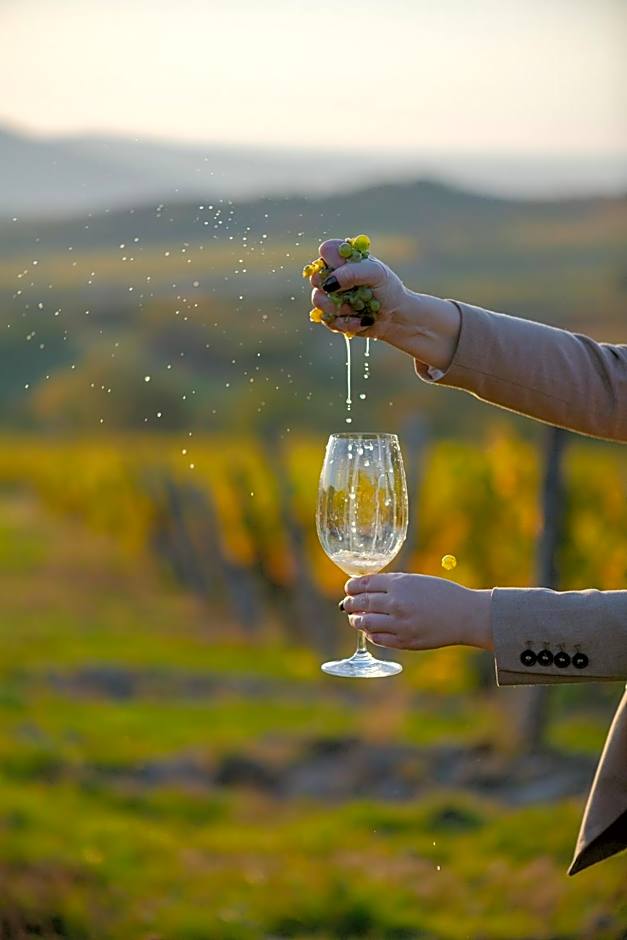 Barka Galéria Hotel és Étterem