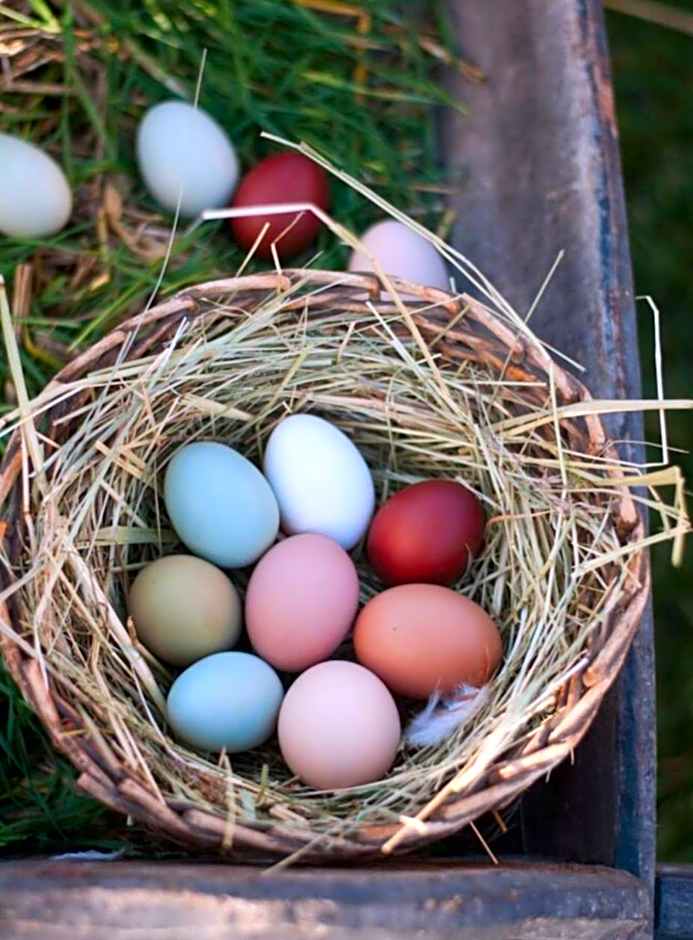 Escale Chambre d'hôtes Au coeur du vieux Profondeville entre Namur et Dinant