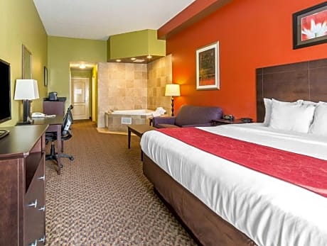1 King Bed, Suite,No smoking