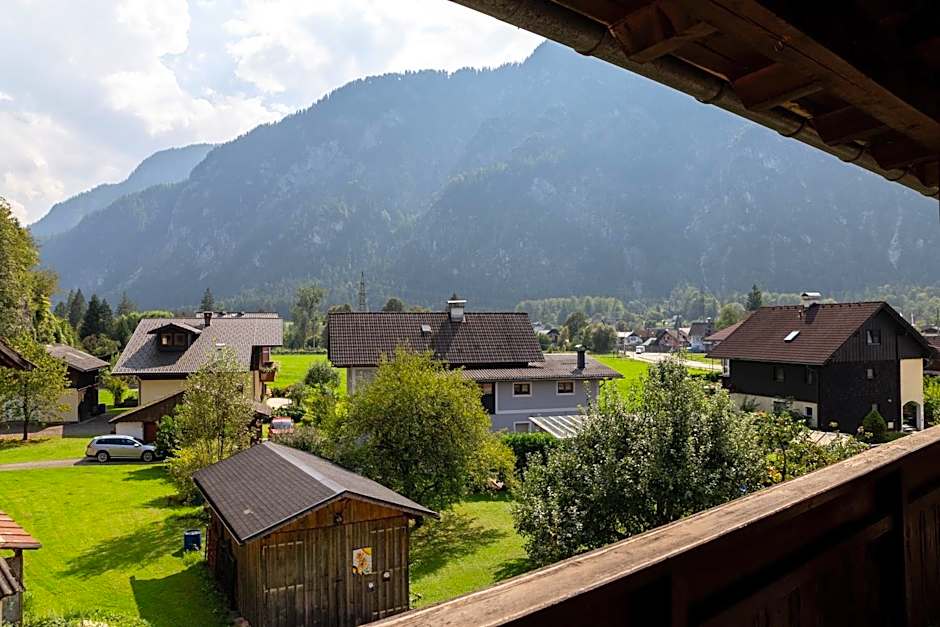 Metzgerwirt Vieh Heli