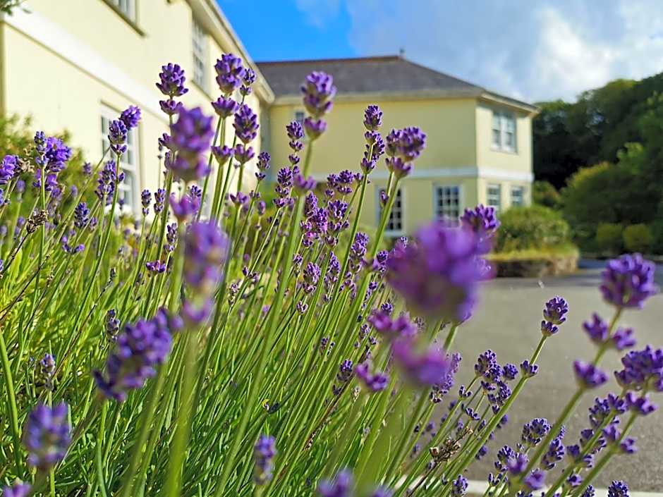 Rose in Vale Country House Hotel