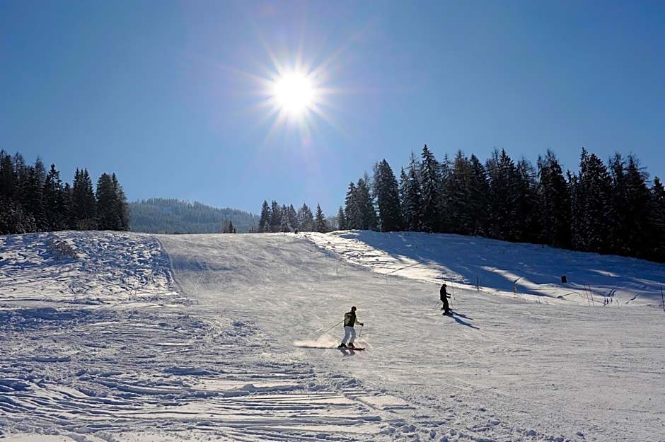 Alpen Apartments Zell am See