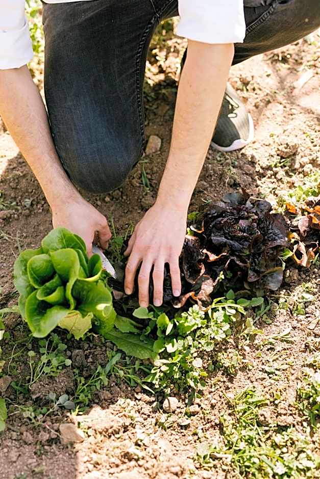 La Garriga de Castelladral